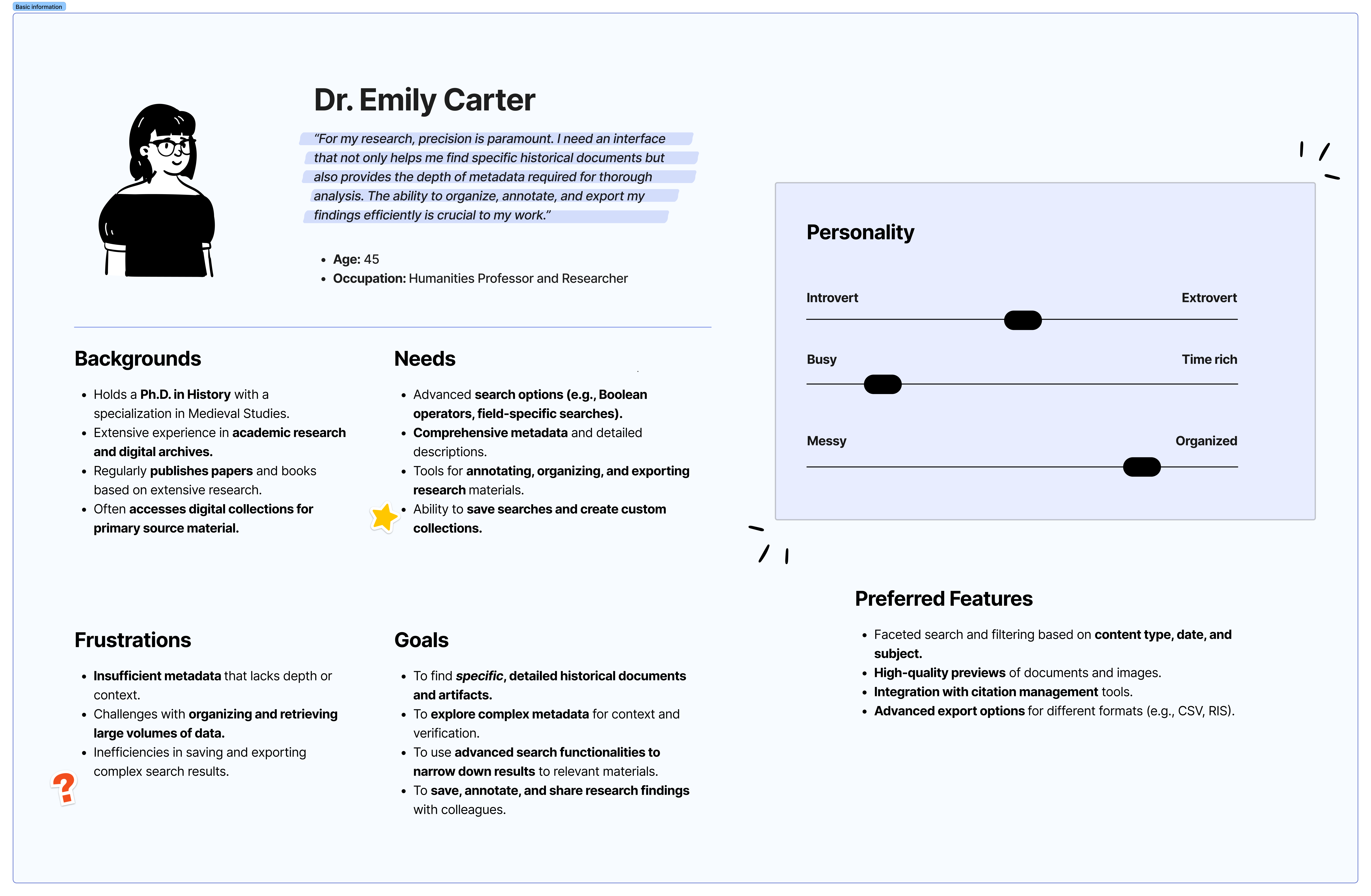 expert user persona